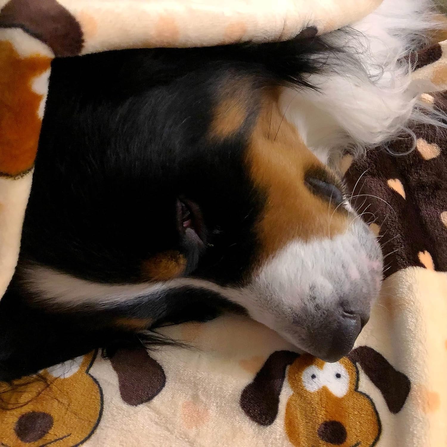 Smartpetlove  Blanket for Pets - Warm & Cozy Dog Blanket for Small Dogs - Machine Washable Dog Blanket